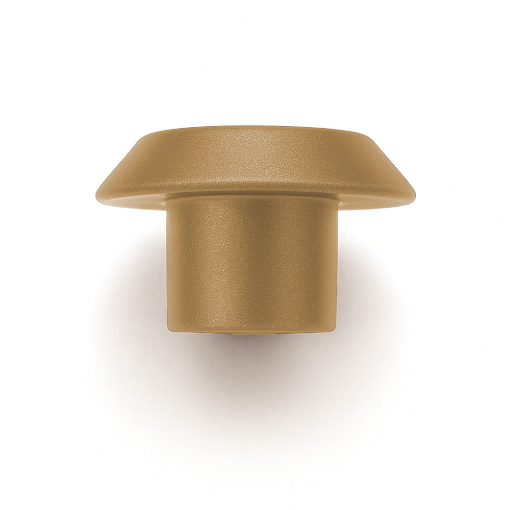 Disk P_Dourado_2